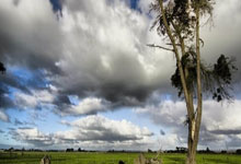 兰博电竞官网：陈垣宇0-3不敌达科-约奇克，WTT仁川冠军赛男单首轮出局.